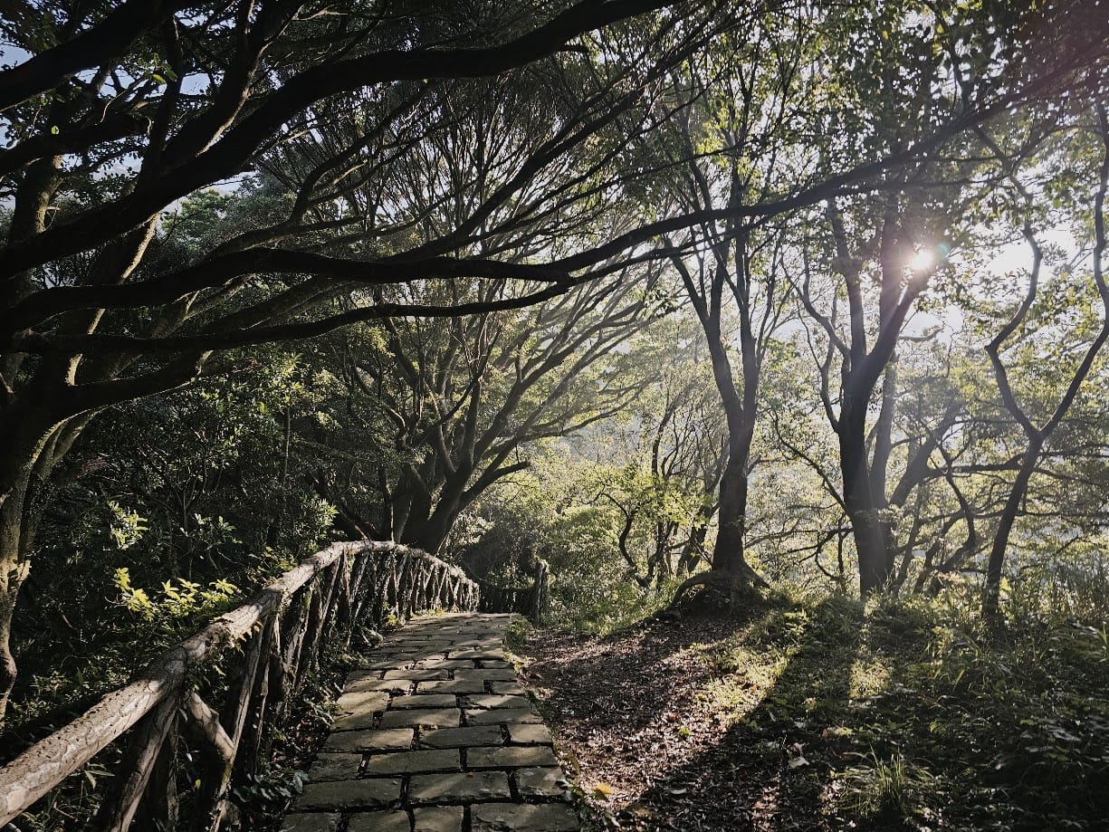 Zhongzhengshan Trail
